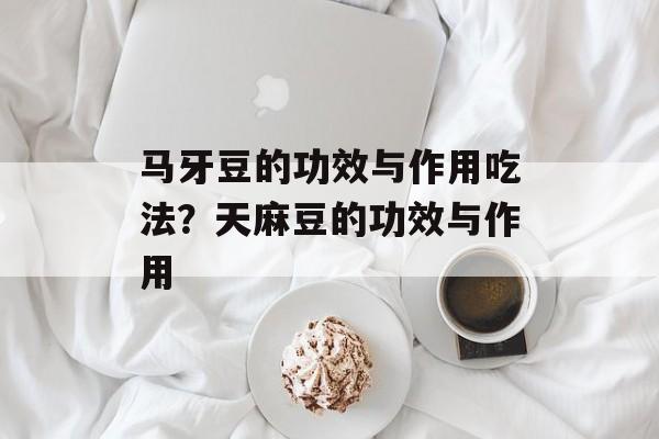 马牙豆的功效与作用吃法？天麻豆的功效与作用-第1张图片-