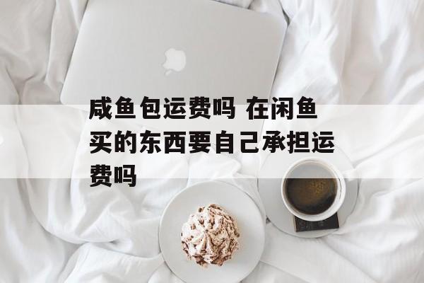 咸鱼包运费吗 在闲鱼买的东西要自己承担运费吗-第1张图片-