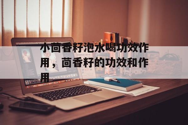 小茴香籽泡水喝功效作用，茴香籽的功效和作用-第1张图片-