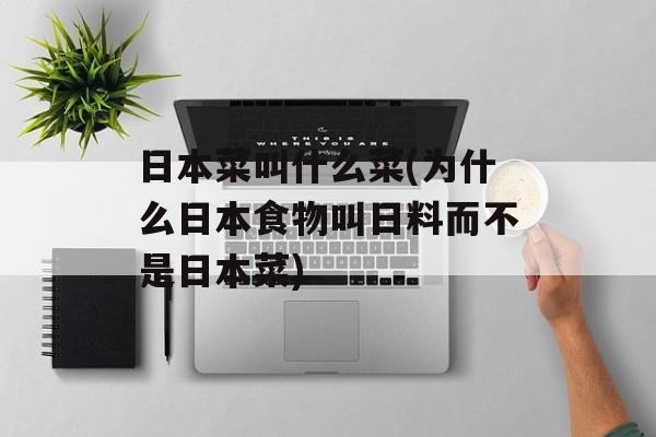 日本菜叫什么菜(为什么日本食物叫日料而不是日本菜)-第1张图片-
