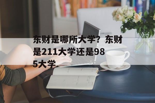 东财是哪所大学？东财是211大学还是985大学-第1张图片-