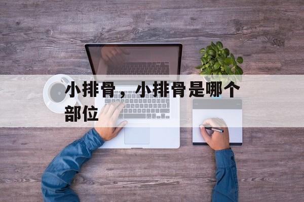 小排骨，小排骨是哪个部位-第1张图片-