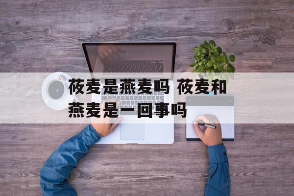 莜麦是燕麦吗 莜麦和燕麦是一回事吗-第1张图片-