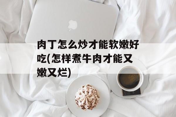 肉丁怎么炒才能软嫩好吃(怎样煮牛肉才能又嫩又烂)-第1张图片-