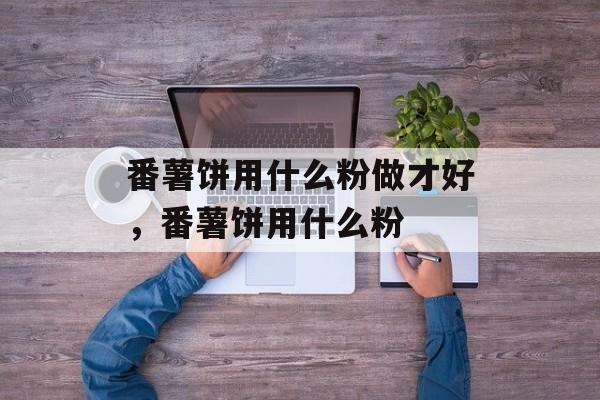 番薯饼用什么粉做才好，番薯饼用什么粉-第1张图片-