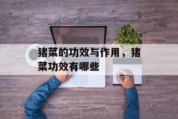 猪菜的功效与作用，猪菜功效有哪些-第1张图片-