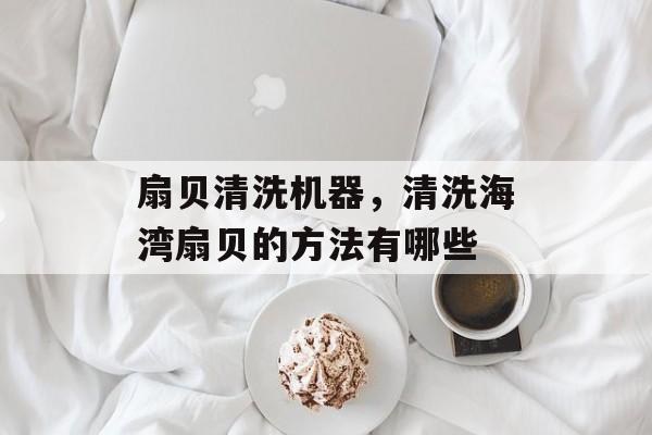 扇贝清洗机器，清洗海湾扇贝的方法有哪些-第1张图片-
