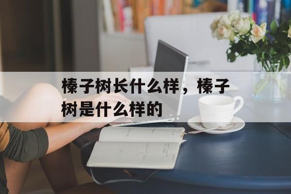 榛子树长什么样，榛子树是什么样的-第1张图片-