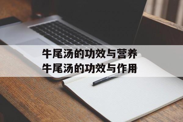 牛尾汤的功效与营养 牛尾汤的功效与作用-第1张图片-