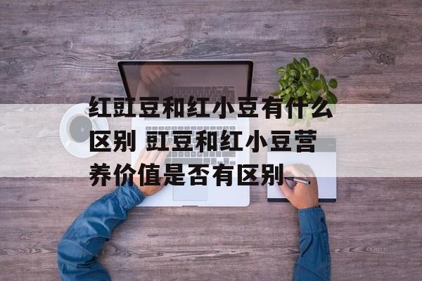红豇豆和红小豆有什么区别 豇豆和红小豆营养价值是否有区别-第1张图片-