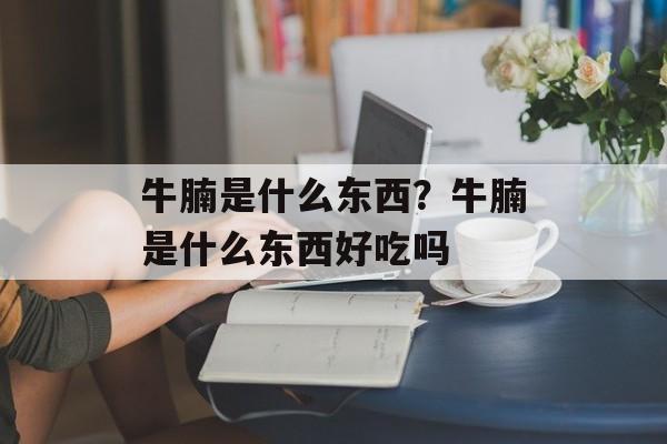 牛腩是什么东西？牛腩是什么东西好吃吗-第1张图片-