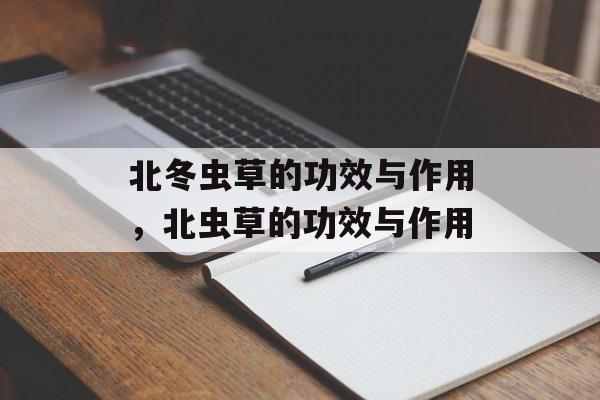 北冬虫草的功效与作用，北虫草的功效与作用-第1张图片-