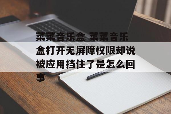 菜菜音乐盒 菜菜音乐盒打开无屏障权限却说被应用挡住了是怎么回事-第1张图片-