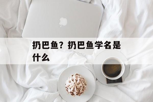 扔巴鱼？扔巴鱼学名是什么-第1张图片-