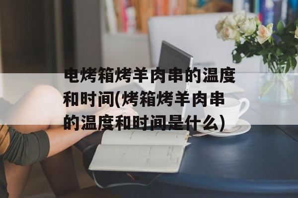 电烤箱烤羊肉串的温度和时间(烤箱烤羊肉串的温度和时间是什么)-第1张图片-