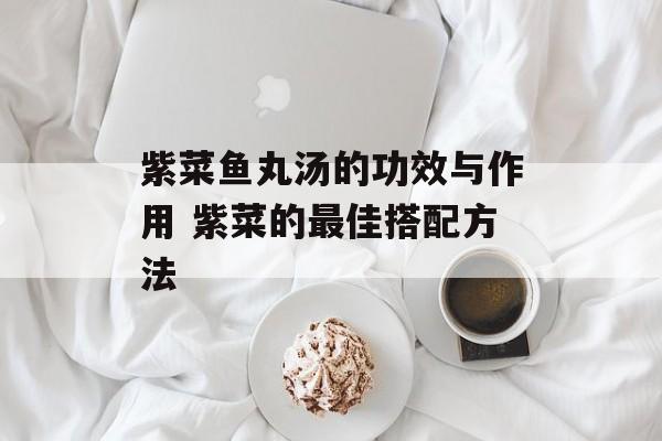 紫菜鱼丸汤的功效与作用 紫菜的最佳搭配方法-第1张图片-