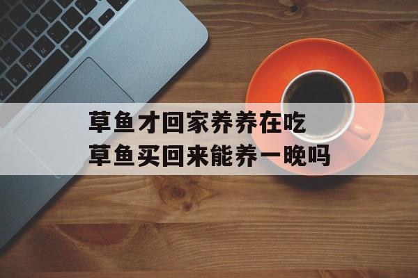草鱼才回家养养在吃 草鱼买回来能养一晚吗-第1张图片-