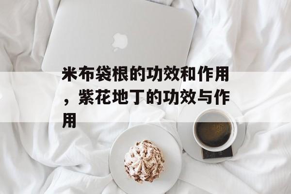 米布袋根的功效和作用，紫花地丁的功效与作用-第1张图片-