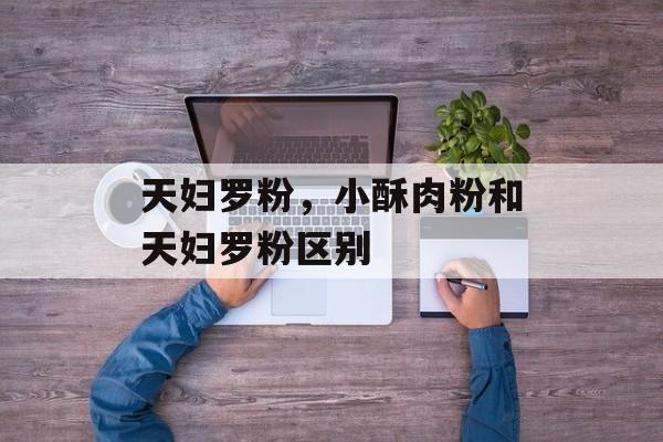 天妇罗粉，小酥肉粉和天妇罗粉区别-第1张图片-