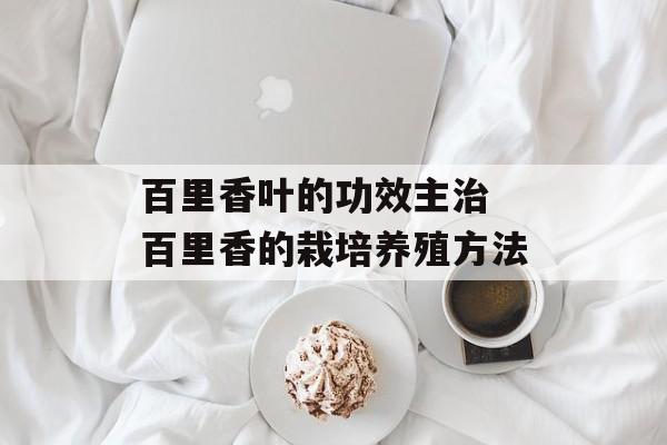 百里香叶的功效主治 百里香的栽培养殖方法-第1张图片-