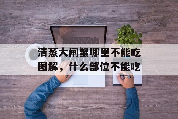 清蒸大闸蟹哪里不能吃图解，什么部位不能吃-第1张图片-