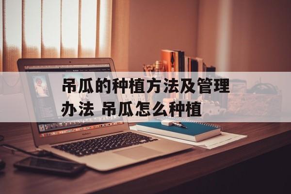 吊瓜的种植方法及管理办法 吊瓜怎么种植-第1张图片-