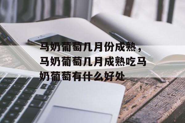 马奶葡萄几月份成熟，马奶葡萄几月成熟吃马奶葡萄有什么好处-第1张图片-