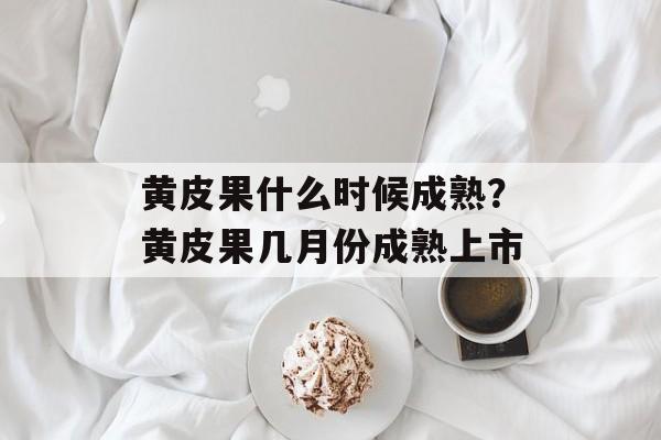 黄皮果什么时候成熟？黄皮果几月份成熟上市-第1张图片-