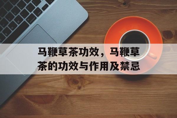 马鞭草茶功效，马鞭草茶的功效与作用及禁忌-第1张图片-