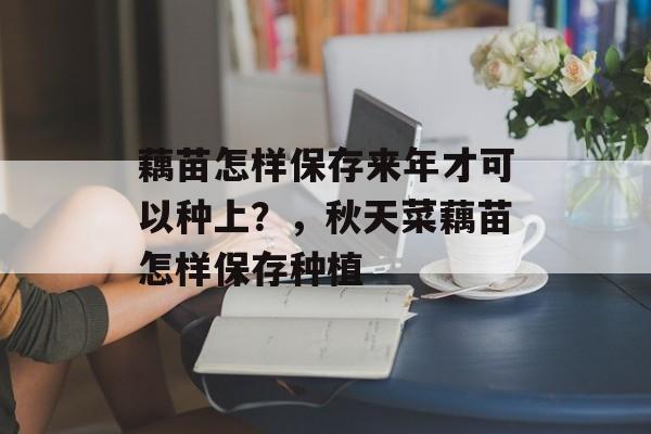藕苗怎样保存来年才可以种上？，秋天菜藕苗怎样保存种植-第1张图片-