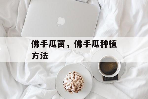佛手瓜苗，佛手瓜种植方法-第1张图片-