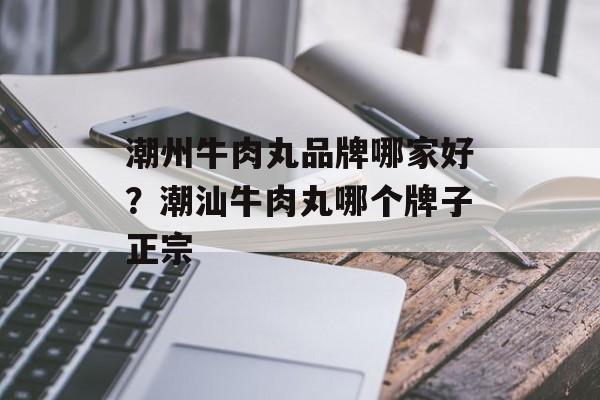 潮州牛肉丸品牌哪家好？潮汕牛肉丸哪个牌子正宗-第1张图片-