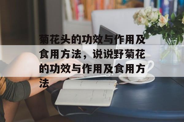 菊花头的功效与作用及食用方法，说说野菊花的功效与作用及食用方法-第1张图片-