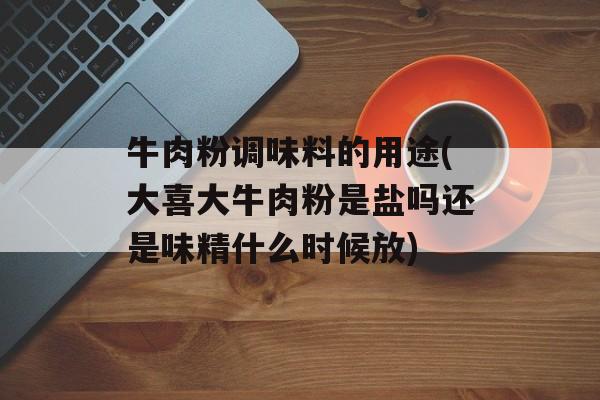牛肉粉调味料的用途(大喜大牛肉粉是盐吗还是味精什么时候放)-第1张图片-