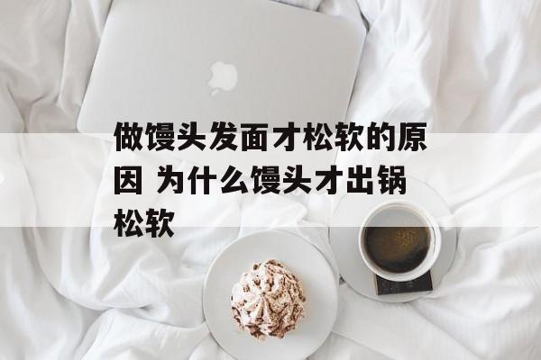 做馒头发面才松软的原因 为什么馒头才出锅松软-第1张图片-
