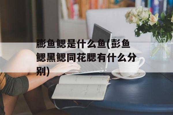 膨鱼鳃是什么鱼(彭鱼鳃黑鳃同花腮有什么分别)-第1张图片-