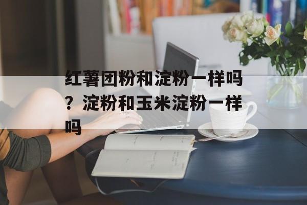 红薯团粉和淀粉一样吗？淀粉和玉米淀粉一样吗-第1张图片-