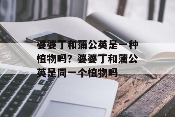 婆婆丁和蒲公英是一种植物吗？婆婆丁和蒲公英是同一个植物吗-第1张图片-