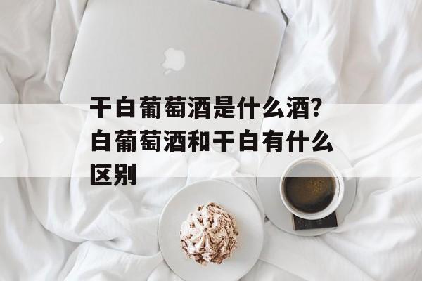 干白葡萄酒是什么酒？白葡萄酒和干白有什么区别-第1张图片-
