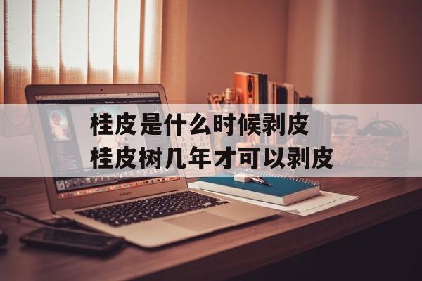 桂皮是什么时候剥皮 桂皮树几年才可以剥皮-第1张图片-
