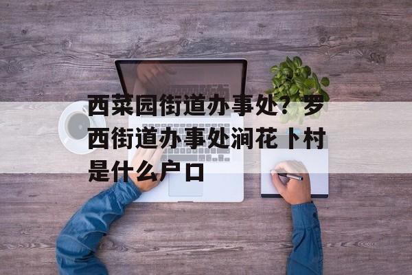 西菜园街道办事处？罗西街道办事处涧花卜村是什么户口-第1张图片-