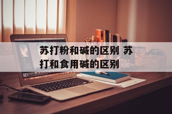 苏打粉和碱的区别 苏打和食用碱的区别-第1张图片-