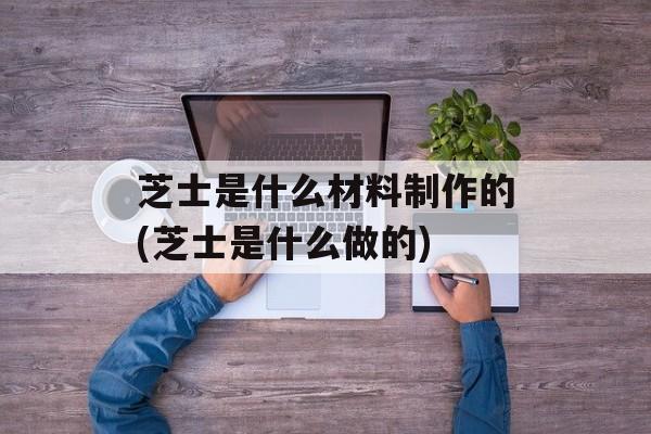 芝士是什么材料制作的(芝士是什么做的)-第1张图片-