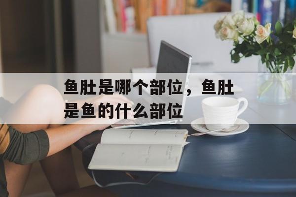 鱼肚是哪个部位，鱼肚是鱼的什么部位-第1张图片-