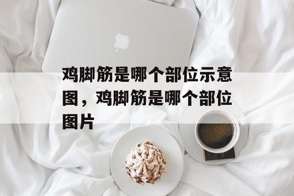 鸡脚筋是哪个部位示意图，鸡脚筋是哪个部位图片-第1张图片-