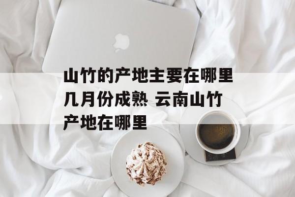 山竹的产地主要在哪里几月份成熟 云南山竹产地在哪里-第1张图片-