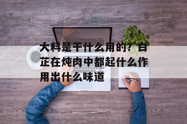 大料是干什么用的？白芷在炖肉中都起什么作用出什么味道-第1张图片-
