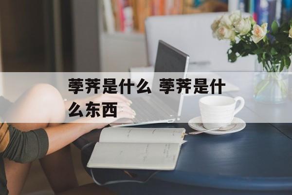 荸荠是什么 荸荠是什么东西-第1张图片-