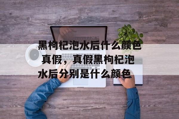 黑枸杞泡水后什么颜色 真假，真假黑枸杞泡水后分别是什么颜色-第1张图片-