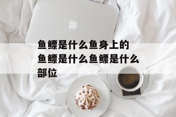鱼鳔是什么鱼身上的 鱼鳔是什么鱼鳔是什么部位-第1张图片-